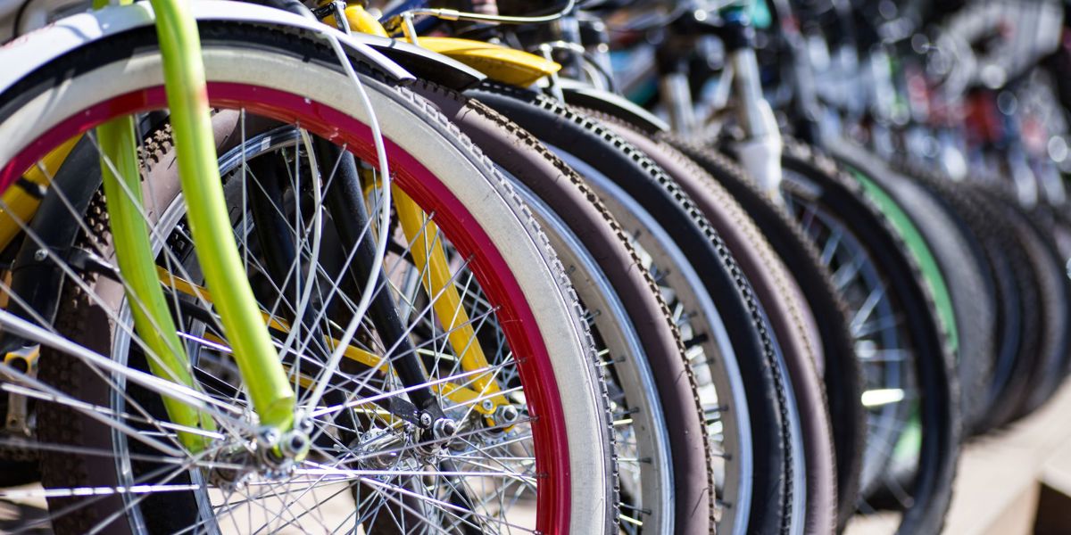 Recreatieondernemer laag btw-tarief verhuur fiets.jpg